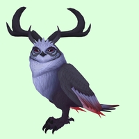 Black Somnowl w/ Crescent Antlers, No Ears, Horned Brows, Medium Tail