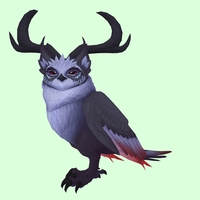 Black Somnowl w/ Crescent Antlers, Medium Ears, Horned Brows, Medium Tail