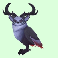 Black Somnowl w/ Crescent Antlers, Large Ears, Horned Brows, Stub-Tail