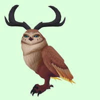 Brown Somnowl w/ Crescent Antlers, No Ears, No Brows, Stub-Tail