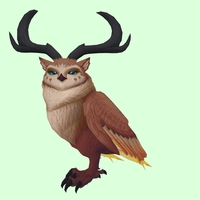 Brown Somnowl w/ Crescent Antlers, Small Ears, No Brows, Stub-Tail