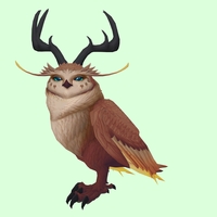 Brown Somnowl w/ Pronged Antlers, No Ears, Wide Brows, Short Tail