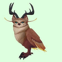 Brown Somnowl w/ Pronged Antlers, Medium Ears, Wide Brows, Stub-Tail