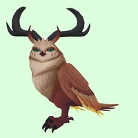 Brown Somnowl w/ Crescent Antlers, No Ears, Horned Brows, Medium Tail