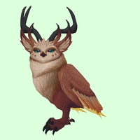 Brown Somnowl w/ Pronged Antlers, Large Ears, Horned Brows, Stub-Tail