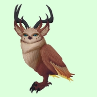Brown Somnowl w/ Pronged Antlers, Large Ears, Horned Brows, Short Tail