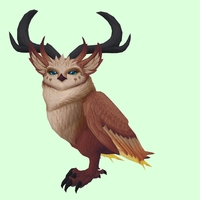Brown Somnowl w/ Crescent Antlers, Large Ears, Horned Brows, Short Tail
