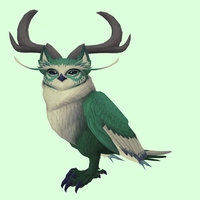 Green Somnowl w/ Crescent Antlers, Medium Ears, Wide Brows, Medium Tail