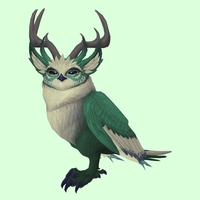 Green Somnowl w/ Pronged Antlers, Large Ears, Horned Brows, Medium Tail