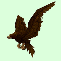 Dark Brown Eagle