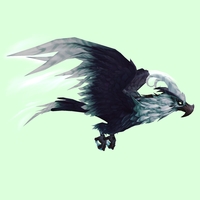 Horned Black & White Wind Eagle