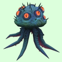 Turquoise Watcher Jelly