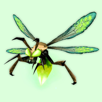 Green Firefly