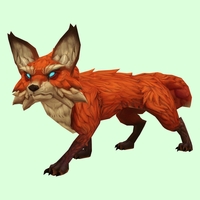Wiry Red Fox