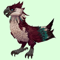 Maroon & Teal Amani Eagle