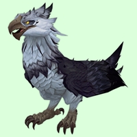 Grey Amani Eagle