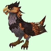 Orange & Black Amani Eagle