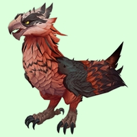 Red Amani Eagle