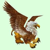 Brown Classic Gryphon