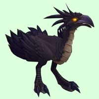Black Hawkstrider