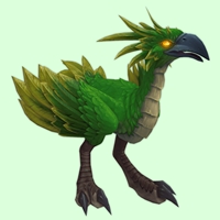 Green Hawkstrider
