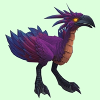 Purple Hawkstrider