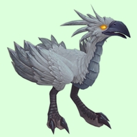 White Hawkstrider