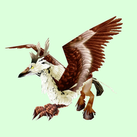 Brown & White Hippogryph