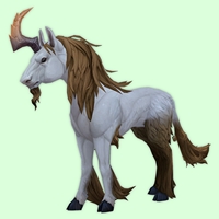 Bronze & White Dreamrunner w/ Orange Horn