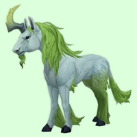 Chartreuse Dreamrunner w/ Yellow Horn