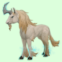 Apricot Dreamrunner w/ Blue Aura