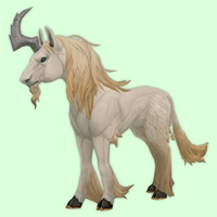 Apricot Dreamrunner