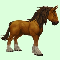 Light Chestnut Horse w/ White Socks & Long Mane