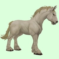Light Palomino Horse
