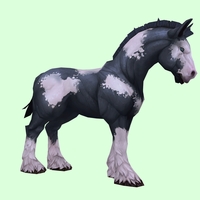 Piebald Horse w/ Short Mane/Tail