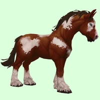 Chestnut Overo Horse