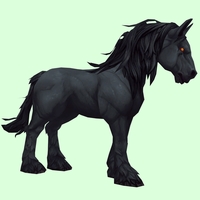 Red-Eyed Black Horse w/ Long Mane