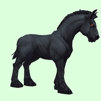 Red-Eyed Black Horse w/ Short Mane/Tail