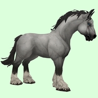 Grey Horse