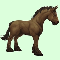 Brown Dun Horse