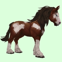 Brown Overo Horse w/ Long Mane