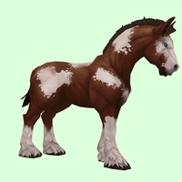 Brown Overo Horse w/ Short Mane/Tail