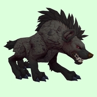 Black Hyena