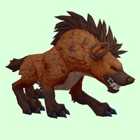 Burnt Orange Hyena