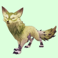 Green Thorntail