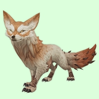 Tawny Thorntail