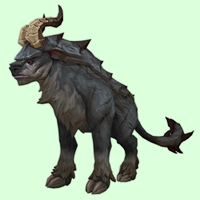 Black Slateback