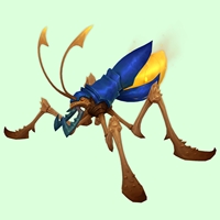 Blue & Yellow Lapbug
