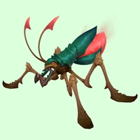 Green & Scarlet Lapbug