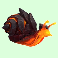 Orange Magma Snail